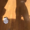 床のクレンジングと化粧  大阪鶴見区  床ワックスの画像