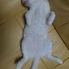リラックスの画像