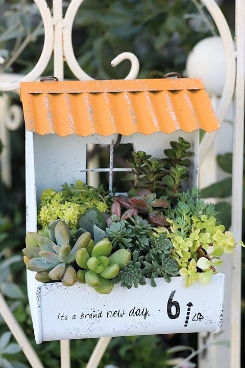 赤と黄色の屋根のついたジャンクブリキの多肉植物寄せ植え 赤と黄色の屋根のついたジャンクブリキの多肉植物寄せ植え