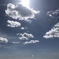 ブログ投稿画像
