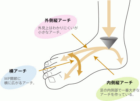 外反母趾の進行予防のために実践したいこと＾＾の記事より