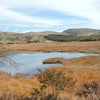 八島ヶ原湿原の画像