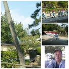 西大寺、奈良、依水園！の記事より