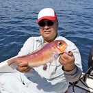 先月９/24日マリン雑誌ハイピッチさんの釣り取材で京都の北村さんと魚たちの記事より
