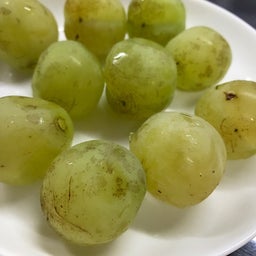 画像 「ももたろう」というブドウ の記事より 1つ目