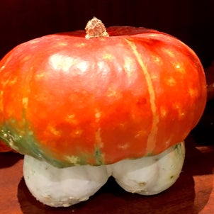 オシャレな飾りかぼちゃの画像