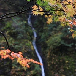 画像 秋旅のすゝめ の記事より 3つ目