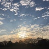 秋の空の画像