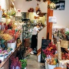 癒しをくれるお花とカフェの専門店『wild flower & cafe AK＋』9月OPEN！の記事より