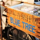 カカアコ地区で誕生したハワイのビーガンカフェが日本上陸！『BLUETREE(ブルーツリー)』の記事より