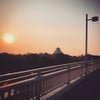 朝ランニング練習 18km大阪城公園の画像