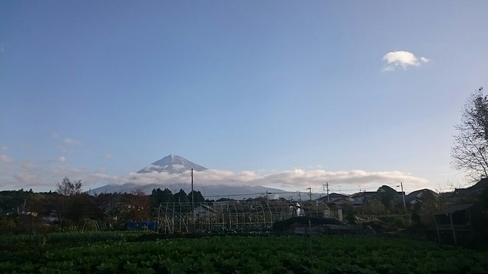 11月７日～1３日の富士山の記事より