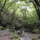 2017年10月7日(土)御岳山・ロックガーデン周遊ハイキングの記事より