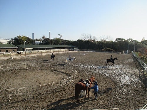 エアバックプロテクターの使い方 | 兵庫県の乗馬クラブ 明石乗馬 
