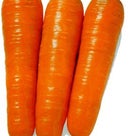 carrot orangeの記事より