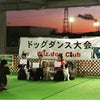 wizdog 日本大会の画像