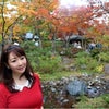見頃！立川・国営昭和記念公園の「黄葉紅葉まつり」～日本庭園・紅葉編～の画像
