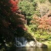 万博記念公園の日本庭園。の画像