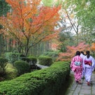 【庭園】「お茶の京都　in　松花堂茶会」を開催しましたの記事より