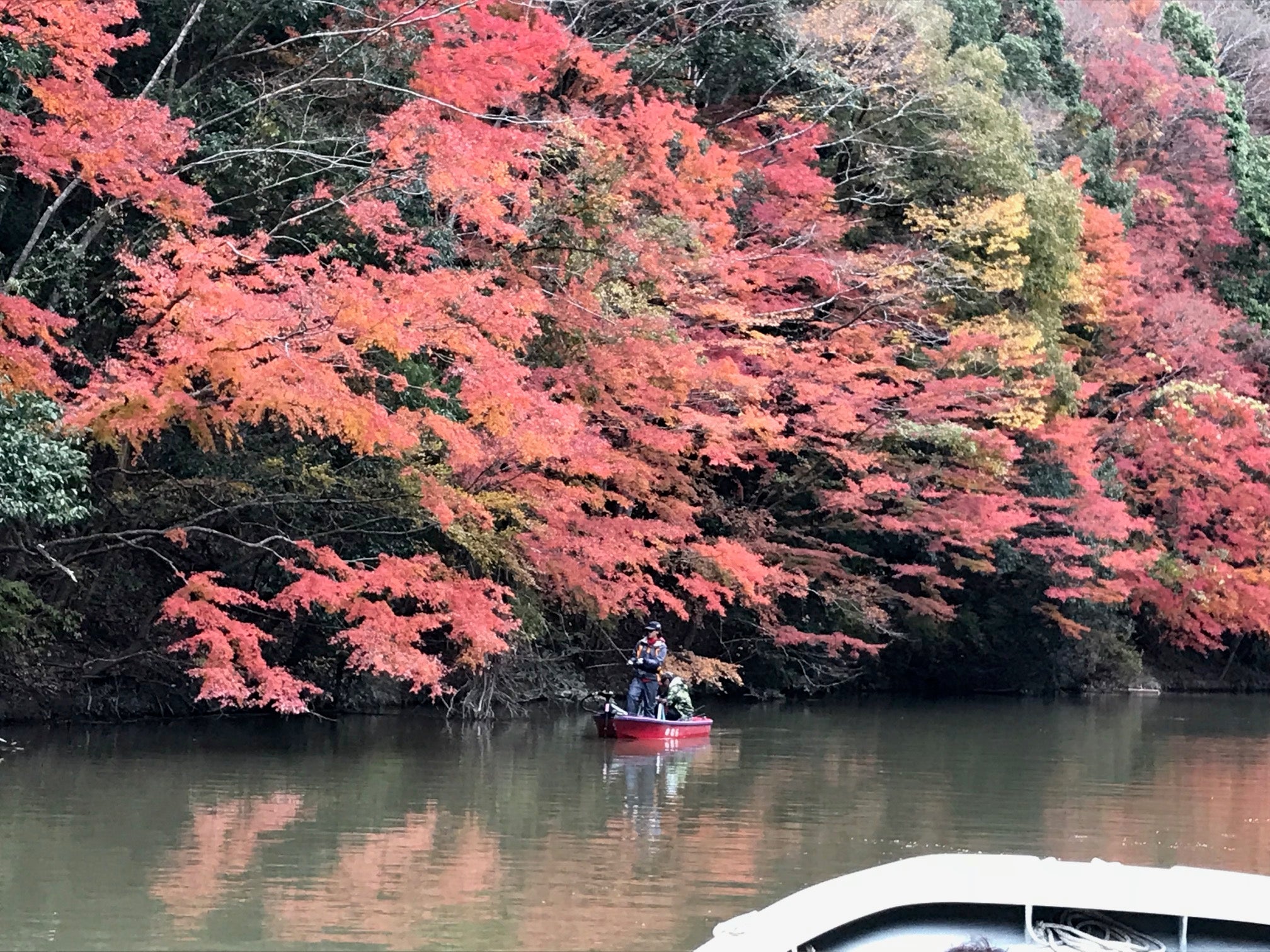 11月27日紅葉情報 亀山湖 のむらボートハウス