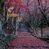 秋の関西へ行ってきました。Part3〜滋賀編〜の画像