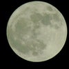2022.1/18、8:49の蟹座の満月には新月の願い事リストを見直そう♪の画像