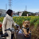 生田緑地へサイクリング♪の記事より