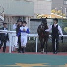 愛馬の写真；ロードアクシス（2017年12月3日阪神）の記事より