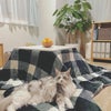 コタツにミカン、そして猫♡冬の理想的な部屋☆の画像