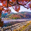 素晴らしき京都嵐山の絶景紅葉の画像