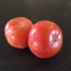 子育てで失敗したことの画像