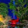 滋賀幻想のお寺！石山寺の紅葉ライトアップの画像