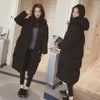 本日おススメ☆の画像