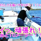 8月27日慶良間船釣り[小学生が超高級魚アカジン！！グルクン入食い！！]与那嶺さま御一行♪の記事より