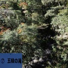 静岡市葵区の精進樽の滝と五段の滝、藤枝市の宇嶺の滝の記事より