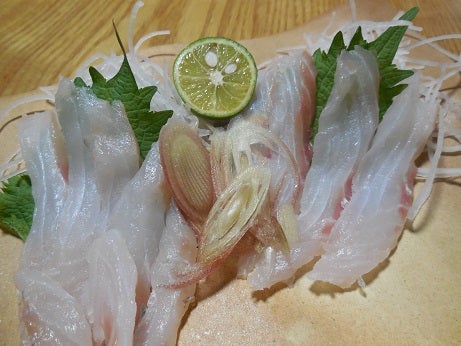 ヒラスズキを食す 関西の海猿ブログ