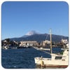 毎日快晴！富士山がきれいです♪の画像