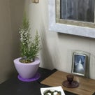 インテリア壁掛け仏壇と季節のお花：エリカの記事より