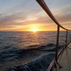 NZ　Port levy　ヨット体験の画像