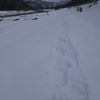 雪上トレーニングの画像