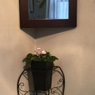 インテリア壁掛け仏壇と季節のお花：セントポーリアの記事より