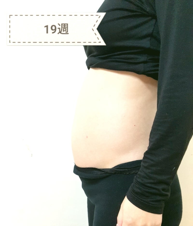 妊娠 19 週