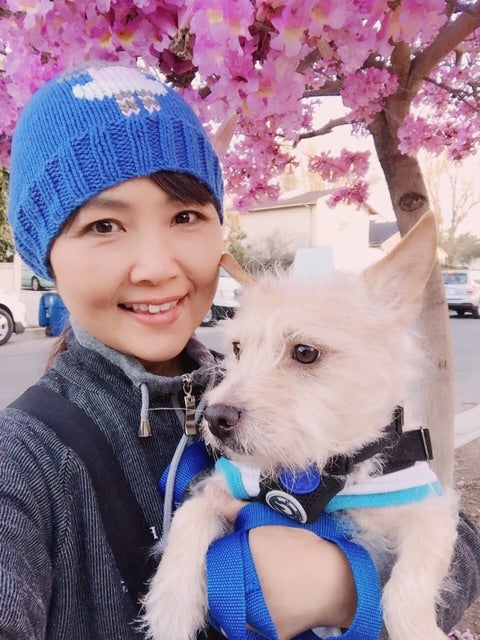 勇気とお散歩 | 飯島真理オフィシャルブログ Powered by Ameba