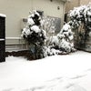大雪の画像