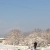 雪景色の画像