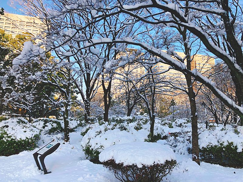 4年ぶりに東京で大雪～2018年・冬 | 馮富久のブログ - Tomihisa Fuon's 