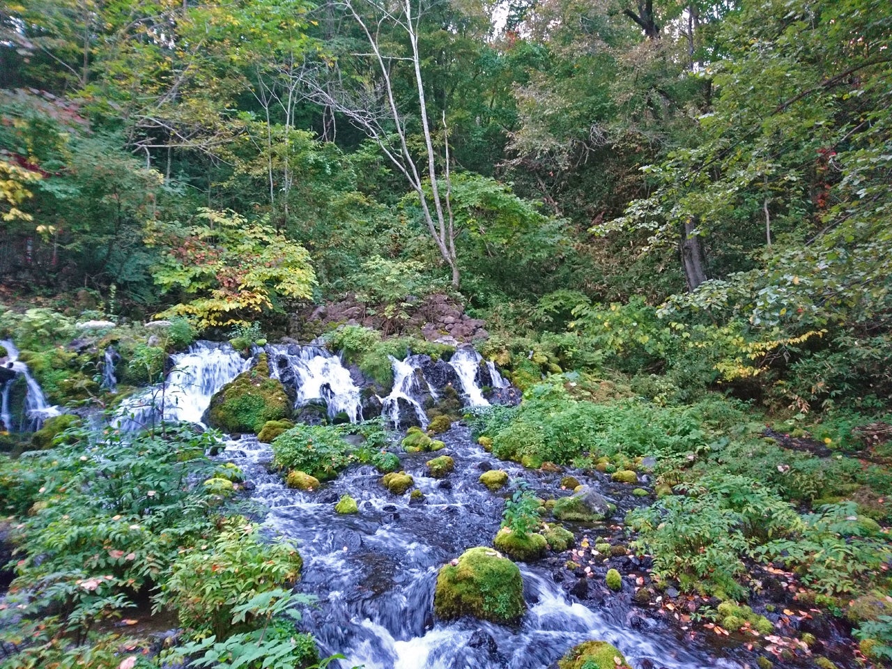 羊蹄のふきだし湧水(北海道のおいしいお水) 九州のおいしいお水