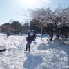 つもったつもったつもったつもったつもりにつもった雪の山～連雀中央公園～の画像
