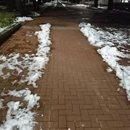 画像 弓のように の記事より 2つ目