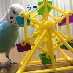 {E33498F9-5E65-4135-B460-6DBDE0BD602F}